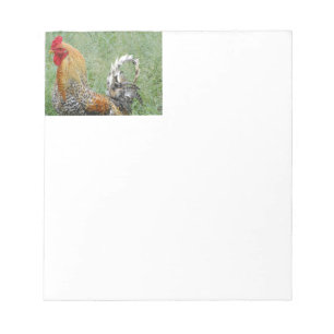 Roosters Notepad