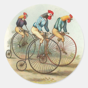 Roosters on Bicycles Stickers