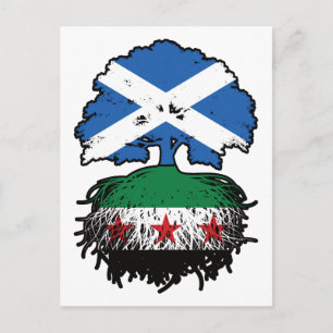 Roots & Crown: Scotland–Syria Tree Postcard