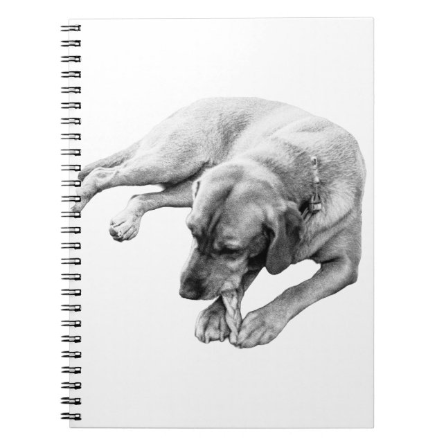 Rope & Reflection Notebook (Front)