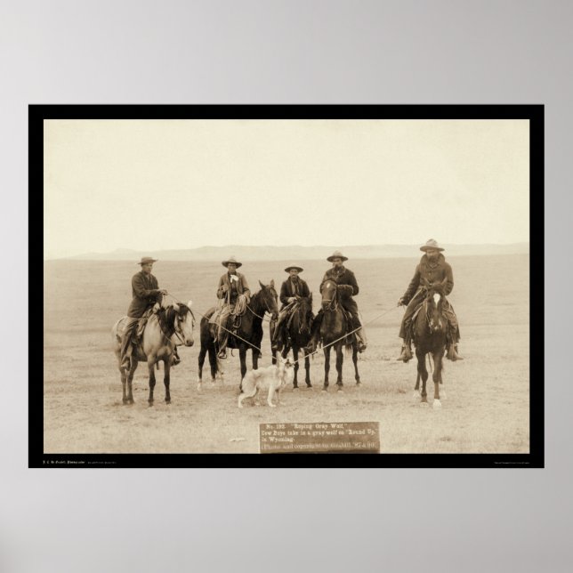 Roping a Grey Wolf in Wyoming 1887 Poster (Front)
