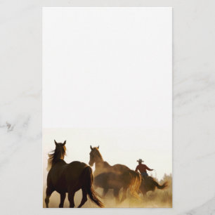 roping cowboy stationary stationery