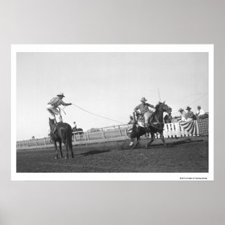 Roping horse poster