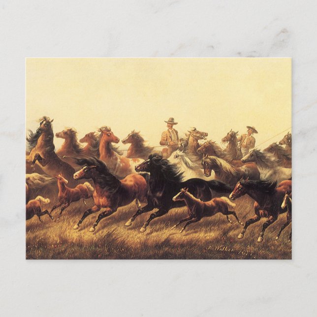 Roping Wild Horses by James Walker Postcard (Front)