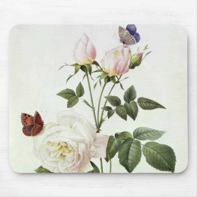 Rosa: Bengale the Hymenes, from 'Les Roses' Mouse Pad (Front)