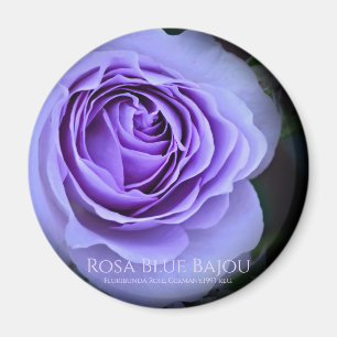 Rosa Blue Bajou Magnet