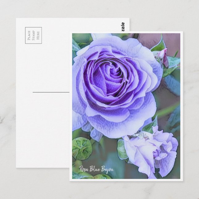 Rosa Blue Bajou Postcard (Front/Back)
