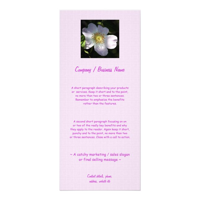 Rosa Canina - Dog Rose Rack Card (Front)