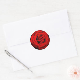 Rosa Cardinal: Round Seal