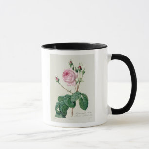 Rosa Centifolia Bullata Mug