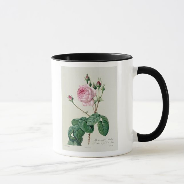 Rosa Centifolia Bullata Mug (Right)