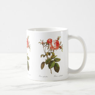 Rosa Centifolia Foliacea Coffee Mug