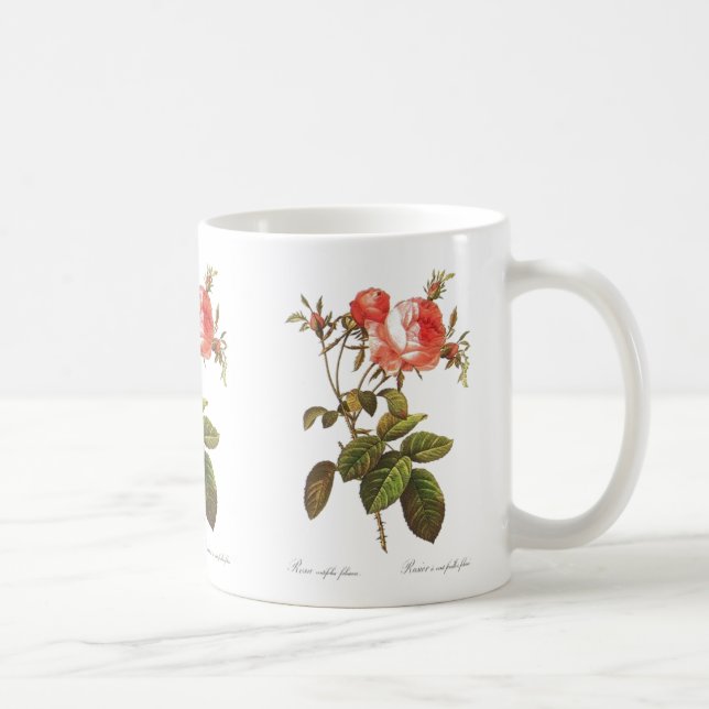Rosa Centifolia Foliacea Coffee Mug (Right)