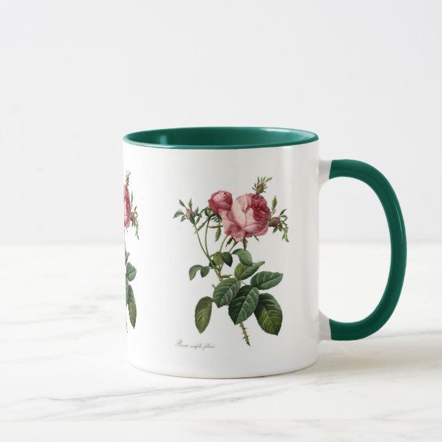 Rosa centifolia foliacea mug (Right)