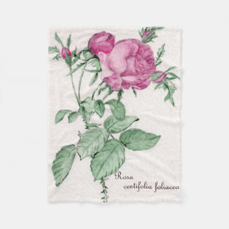 Rosa Centifolia Foliacea Throw Blanket