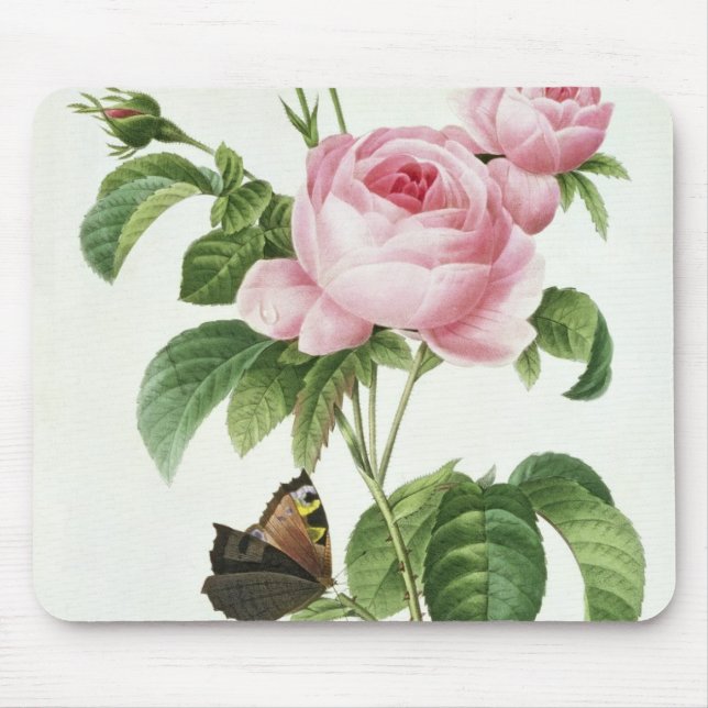 Rosa Centifolia Mouse Pad (Front)