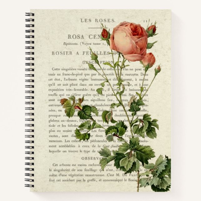 Rosa Centifolia Notebook - Elegant Floral Gift (Front)