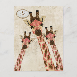 Rosa & Copper  Giraffes Monogram Postcard