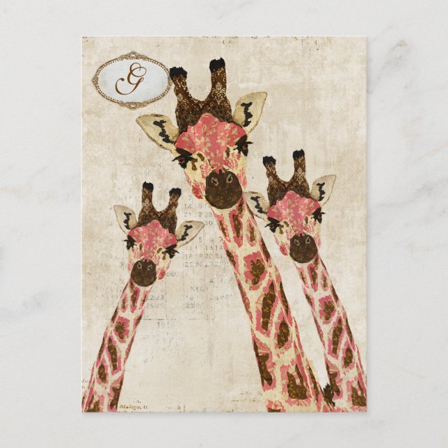 Rosa & Copper  Giraffes Monogram Postcard (Front)