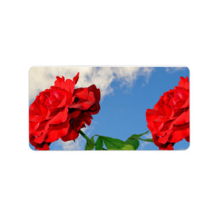 Rosa Don Juan with a blue sky  Label