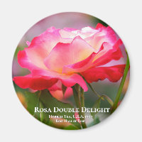Rosa Double Delight