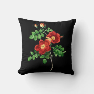 Rosa Eglanteria Cushion