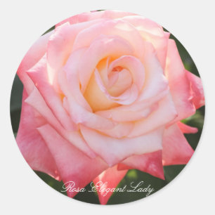 Rosa Elegant Lady Classic Round Sticker