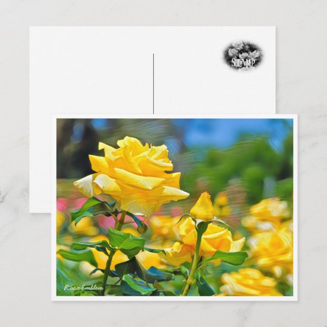 Rosa Emblem Postcard (Front/Back)