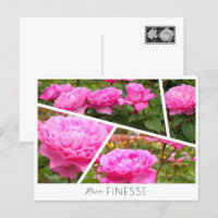 Rosa Finesse