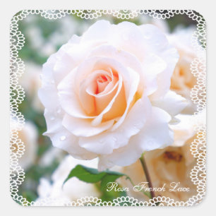 Rosa French Lace [Square Seal] Square Sticker