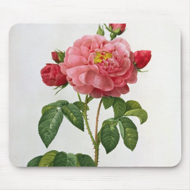 Rosa Gallica Aurelianensis Mouse Pad (Front)