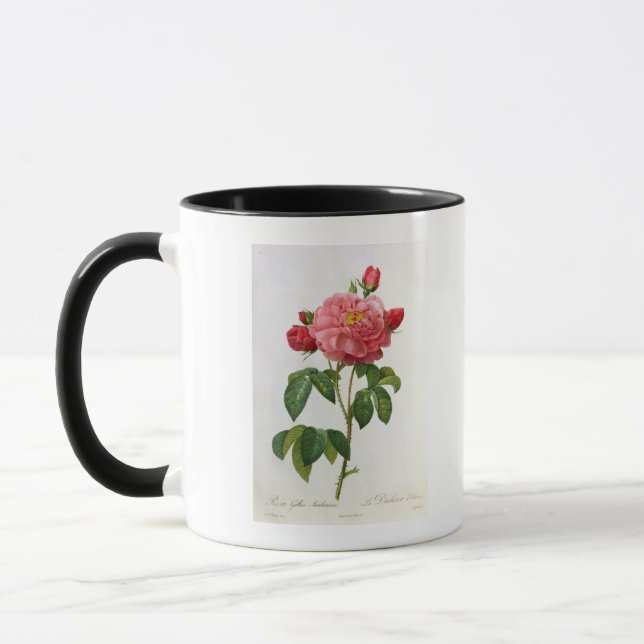 Rosa Gallica Aurelianensis Mug (Left)