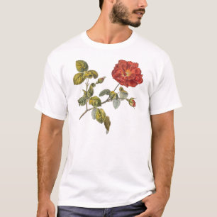 Rosa Gallica Beautiful Red Antique Vintage Rose T-Shirt