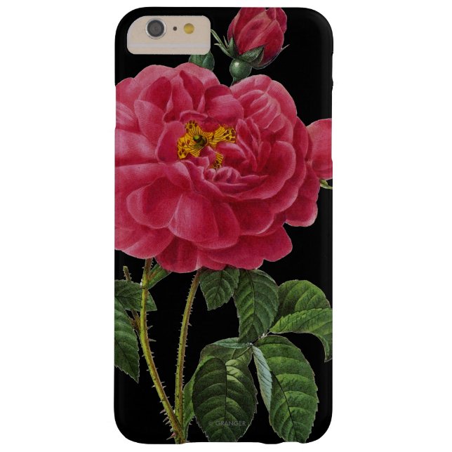 Rosa Gallica Case-Mate iPhone Case (Back)