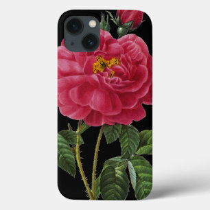 Rosa Gallica iPhone 13 Case