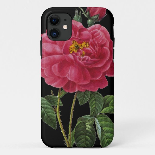 Rosa Gallica Case-Mate iPhone Case (Back)