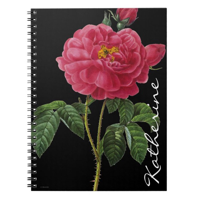 Rosa Gallica Notebook (Front)