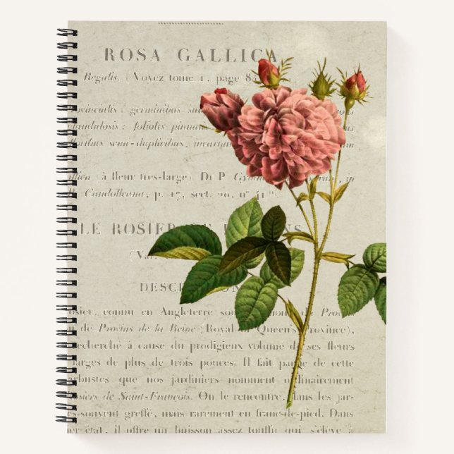 Rosa Gallica Regalis Notebook (Front)