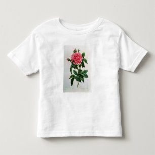 Rosa Gallica Regallis Toddler T-Shirt