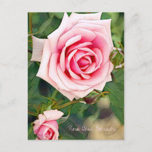 Rosa Gene Boerner [Postcard] Postcard