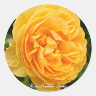 Rosa Graham Thomas [Round Seal] Classic Round Sticker