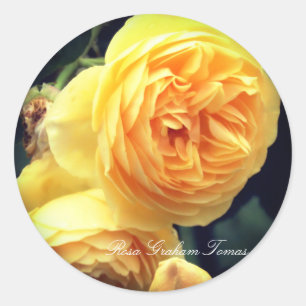 Rosa Graham Tomas Classic Round Sticker