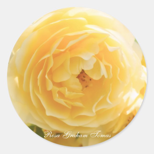 Rosa Graham Tomas [Round Seal] ラウンドシール Classic Round Sticker (Front)