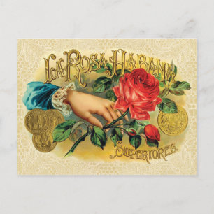 Rosa Habana Vintage Cigar Label Postcard