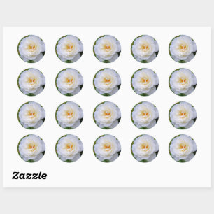 Rosa Iceberg [Round Seal] Classic Round Sticker