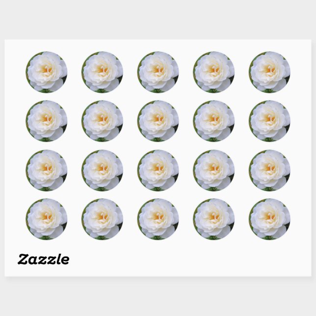 Rosa Iceberg [Round Seal] Classic Round Sticker (Sheet)