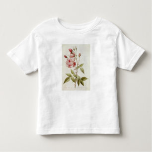 Rosa Indica Vulgaris, from 'Les Roses' Toddler T-Shirt