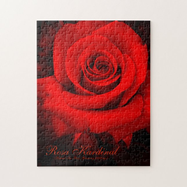 Rosa Kardinal [Jigsaw puzzle(252 piece)] Jigsaw Puzzle (Vertical)