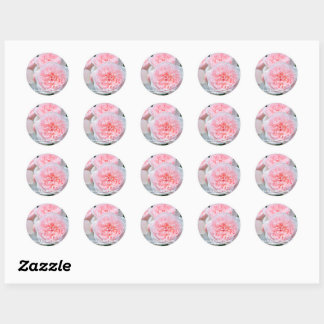Rosa Kathrin Morley [Round Seal] Classic Round Sticker