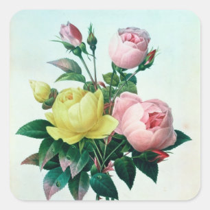 Rosa Lutea and Rosa Indica Square Sticker